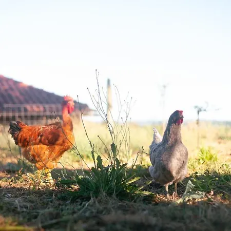 Dom wakacyjny Quinta Do Serrado Carvalhais (Viseu)