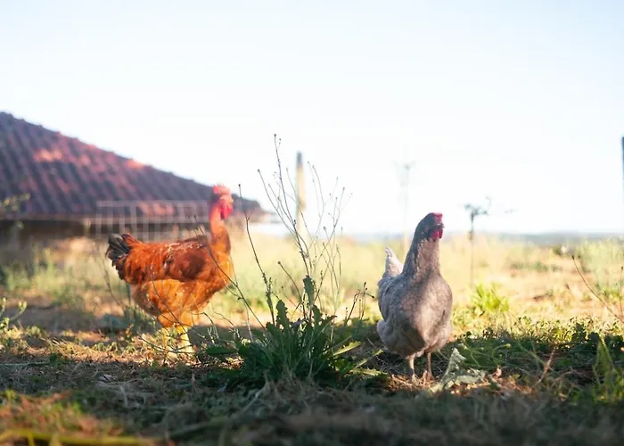 Holiday home Quinta Do Serrado Carvalhais (Viseu)